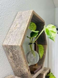 Rockin Wood Reclaimed Hexagon Shelves Set of 3