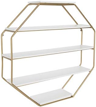 Kate and Laurel Lintz Octagon Floating Wall Shelves with Gold Frame
