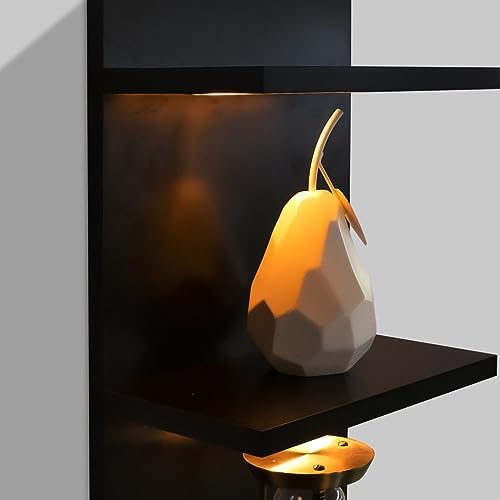 5 Tier Wall Shelves with LED Light Floating Storage Design Modern Home Decor Organizer Black