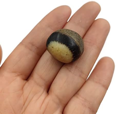 AMHIL Natural Dragon Septarian Tumbled Stones Crystal Polished Gemstone Specimen Home Decoration Gift