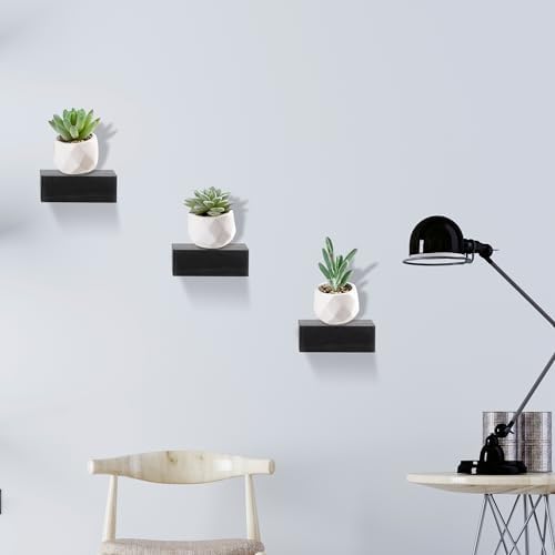 Set of 3 Black Floating Shelves for Wall