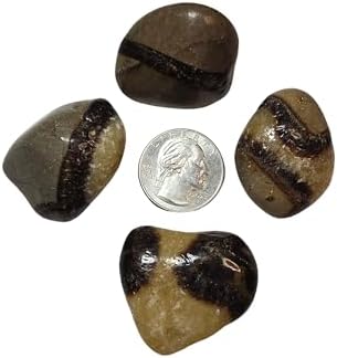 2pc Septarian Dragonstone Tumbled Healing Crystals from Madagascar UV Reactive