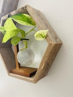 Rockin Wood Reclaimed Hexagon Shelves Set of 3
