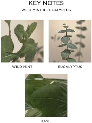 NEST New York Smart Home Diffuser Refills Set of 2 Wild Mint Eucalyptus