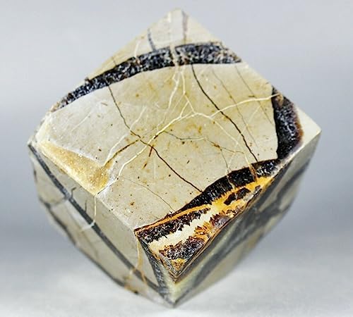 Polished Dragon Septarian Cube Reiki Stone Display 380G L5392