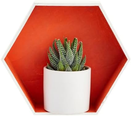 Bright Creations 9 Hexagon Floating Wall Shelves Set