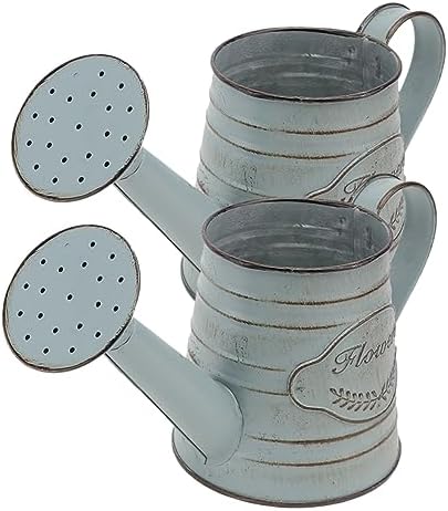 2pcs Vintage Rustic Iron Flower Vases for Dried Decorative Arrangements