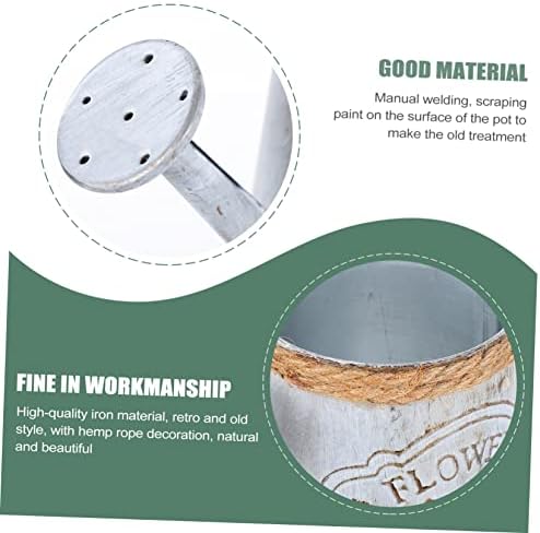 BESPORTBLE 2pcs Antique Iron Dried Flower Vase Vintage Decorative Bucket for Home