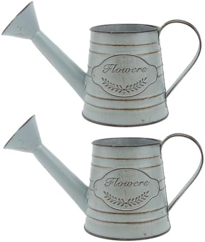 Balacoo 2pcs Vintage Rustic Iron Flower Vase Decor