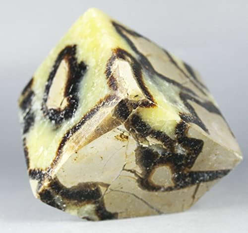 Polished Dragon Septarian Cube Reiki Stone Display