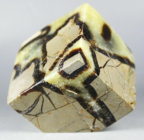 Polished Dragon Septarian Cube Reiki Stone Display