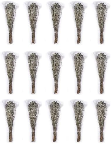 Natural Dried Echinops Blue Globe Thistle Bulk Pack 15 Bunches