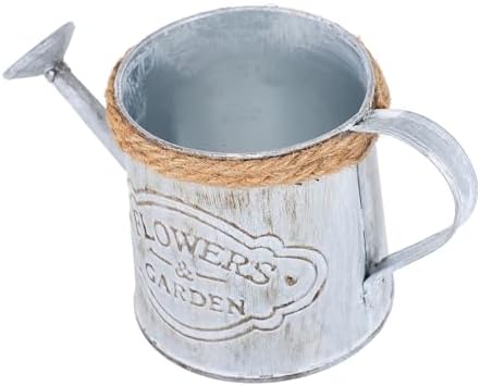 SUPVOX 2pcs Antique Iron Flowerpot Rope Dried Flower Decor Vintage Style Vase