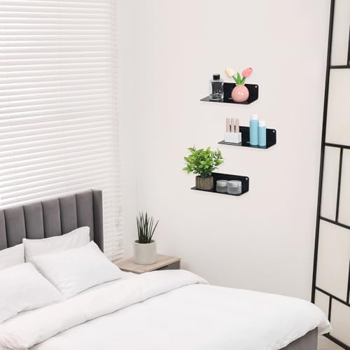 DRMHM Acrylic Floating Shelves 9x4in Black