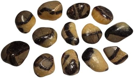2pc Septarian Dragonstone Tumbled Healing Crystals from Madagascar UV Reactive