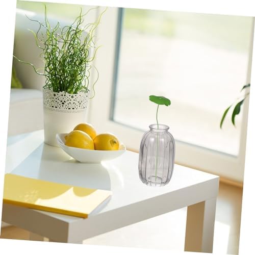 PRETYZOOM 3pcs Creative Dried Flower Display Vase Set