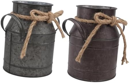 2pcs Vintage Iron Flower Bucket for Succulents Retro Decor with Small Handle for Home and Garden