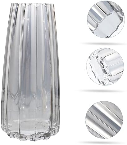 Modern Glass Vase for Home and Office Decor