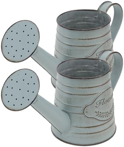 2Pcs Vintage Metal Flower Planter Antique Decorative Vase for Farmhouse Rustic Style Flower Holder with Handles