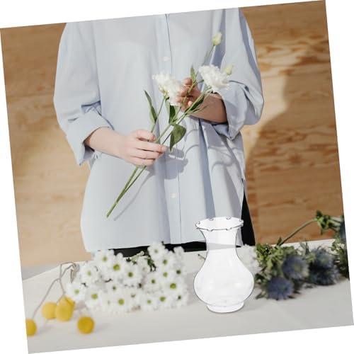 4pcs Clear Plastic Hydroponic Plant Vase for Home Decor