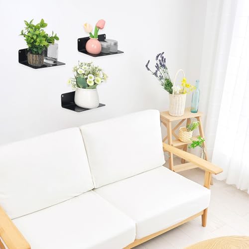 DRMHM Acrylic Floating Shelves 9x4in Black