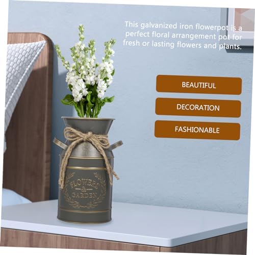 PRETYZOOM Vintage Galvanized Metal Jug Vase for Dried Flowers Rustic Planter with Handle