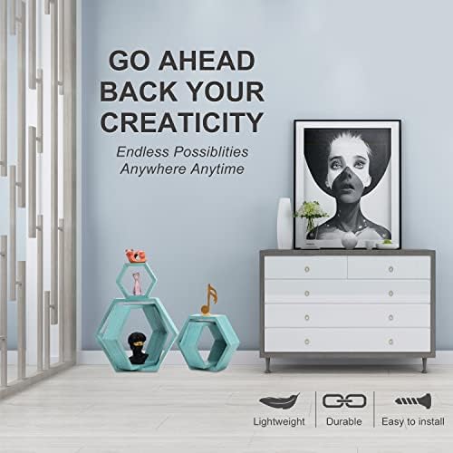 PHOENANCEE Hexagon Floating Shelves Set of 5