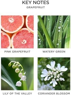 NEST New York Smart Fragrance Diffuser Refill - Grapefruit Set of 2