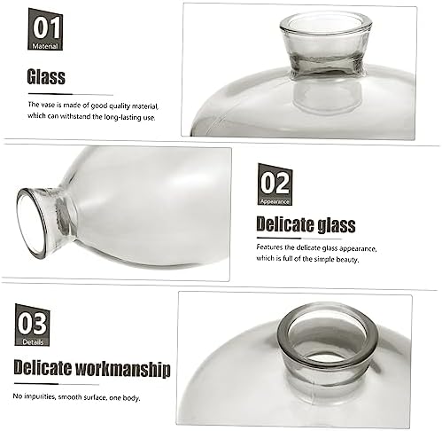 PRETYZOOM 3 Pack Hydroponic Glass Vases for Home Office Decor