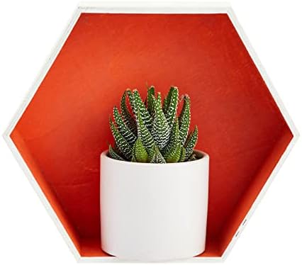 Bright Creations 9 Hexagon Floating Wall Shelves Set