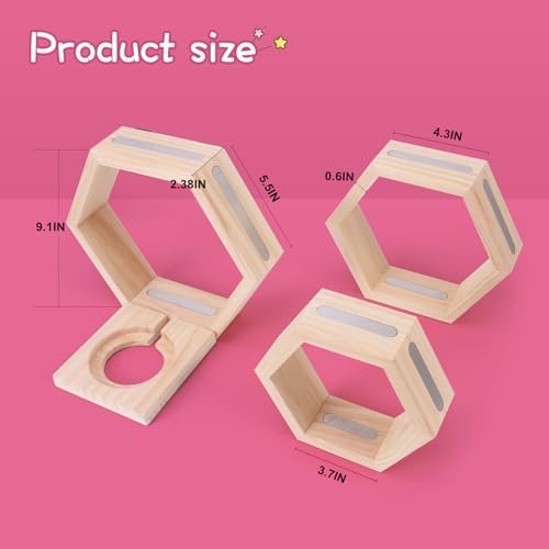 Givilio Tonie Shell Hexagon Wall Mounted Set of 3