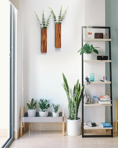 Wood Wall Planter for Indoor Plants 2 Pack