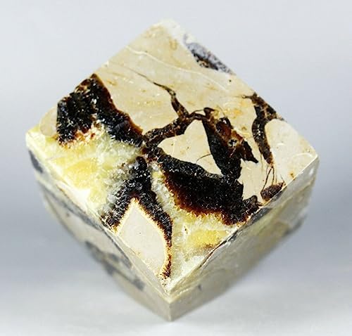 Polished Dragon Septarian Cube Reiki Stone Display 1
