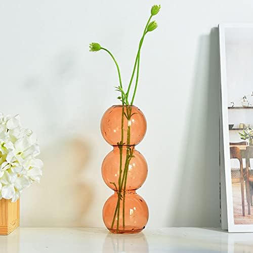 WAYUTO Clear Glass Bubble Vase for Home Decor