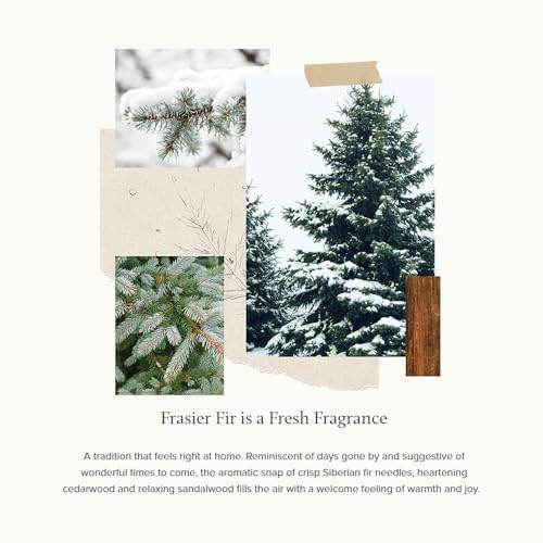 Thymes Frasier Fir Pura Diffuser Refills Pack of 2