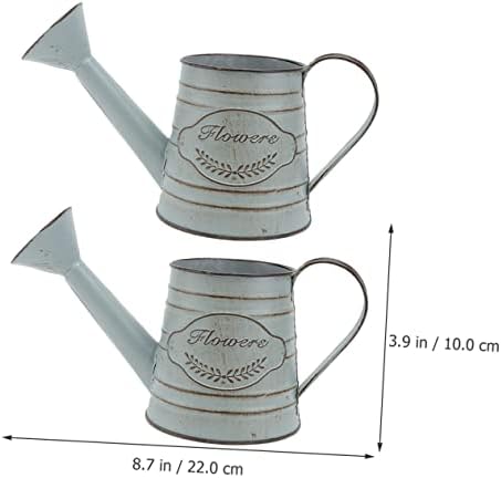 Balacoo 2pcs Vintage Rustic Iron Flower Vase Decor