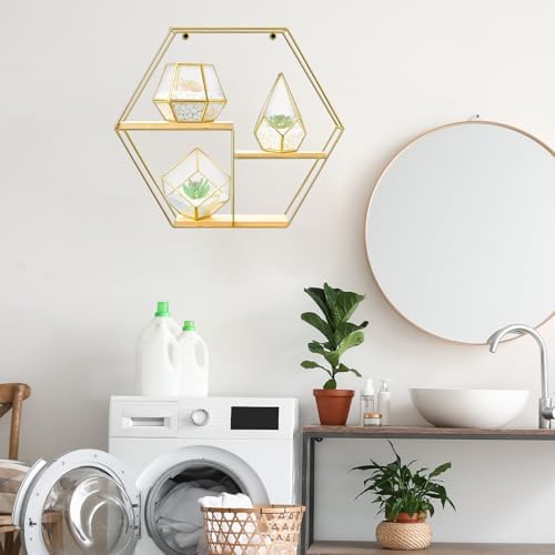 Hexagonal Metal Wall Shelves with 3 Glass Planter Sets