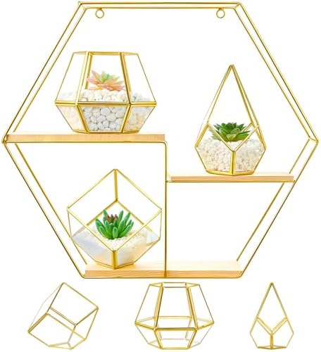 Hexagonal Metal Wall Shelves with 3 Glass Planter Sets
