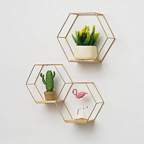 Goodilest Hexagon Floating Wall Shelf with Iron Frame