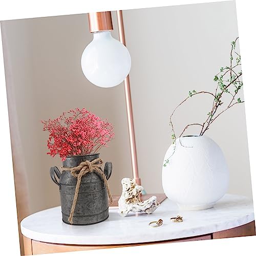 Ciieeo Iron Bucket Flower Pot Vintage Decor