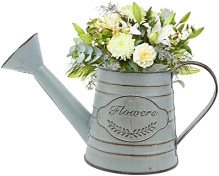 Balacoo 2pcs Vintage Rustic Iron Flower Vase Decor