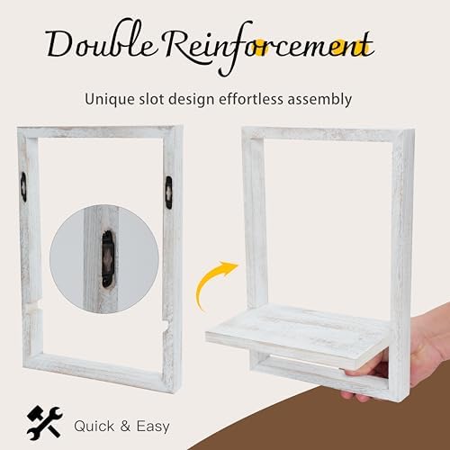 PHOENANCEE Square Floating Shelves Set of 4 Modern Wall Decor