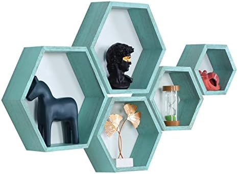 PHOENANCEE Hexagon Floating Shelves Set of 5