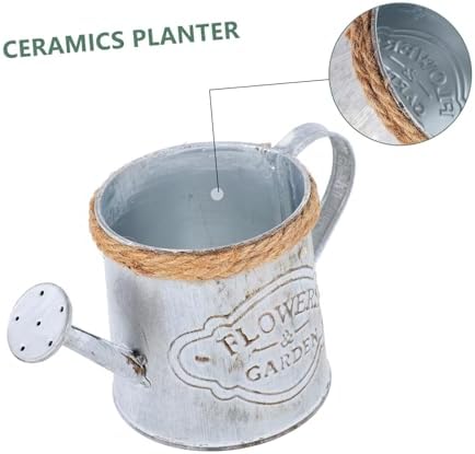 BESPORTBLE 2pcs Antique Iron Dried Flower Vase Vintage Decorative Bucket for Home