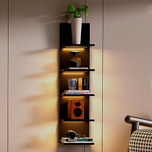 5 Tier Wall Shelves with LED Light Floating Storage Design Modern Home Decor Organizer Black
