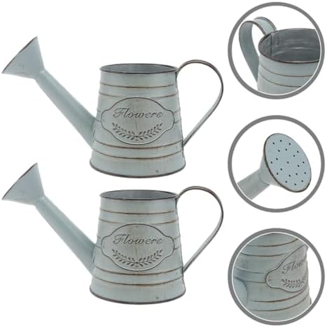 2Pcs Vintage Metal Flower Planter Antique Decorative Vase for Farmhouse Rustic Style Flower Holder with Handles