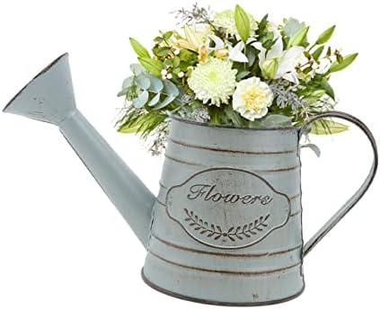 2pcs Vintage Rustic Iron Flower Vases for Dried Decorative Arrangements