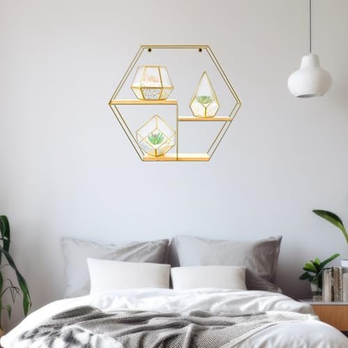 Hexagonal Metal Wall Shelves with 3 Glass Planter Sets