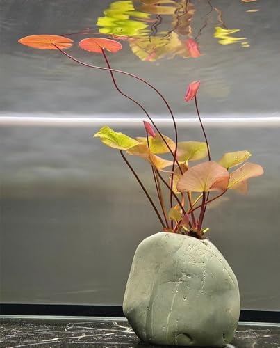 Handmade Pebble Vase Unique Decorative Home Decor