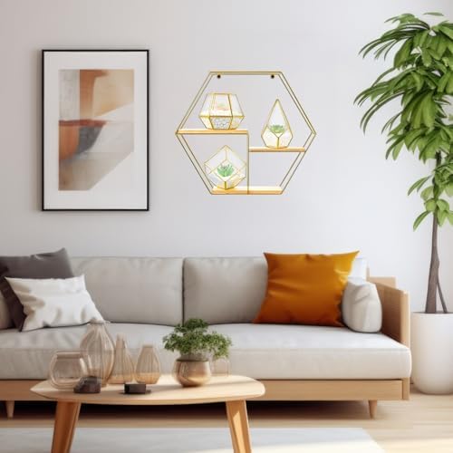 Hexagonal Metal Wall Shelves with 3 Glass Planter Sets